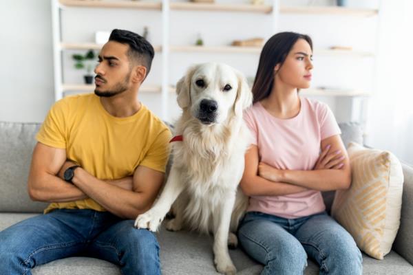 A golden retriever sits between a young couple in a disagreement on a couch. The people are sitting with their arms crossed, facing opposite directions, the dog is looking into the camera