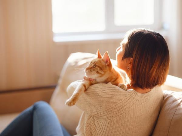 View from behind of a young woman cuddling her cat in a sunlit room